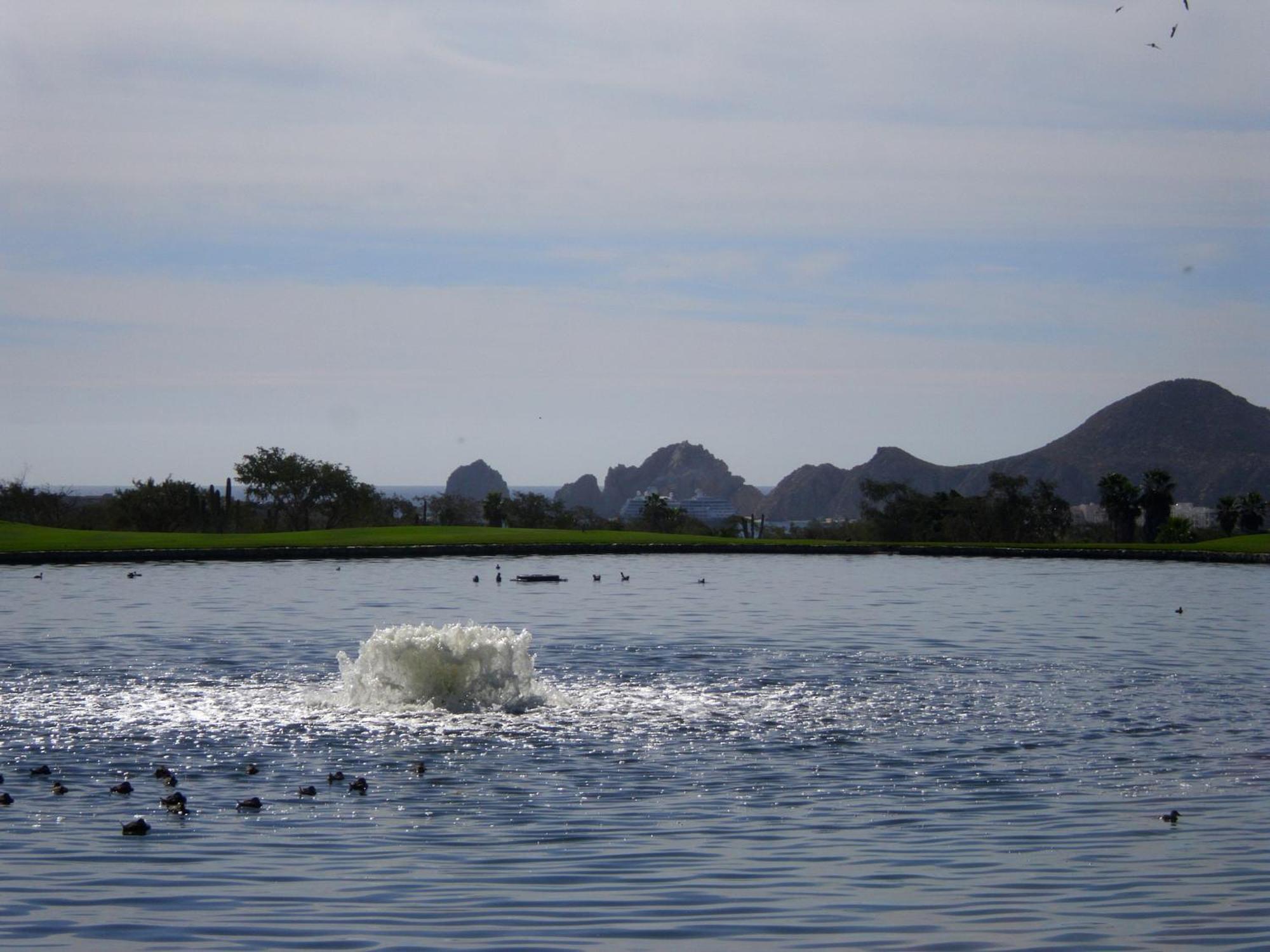 Los Cabos Golf Resort, Trademark Collection By Wyndham Cabo San Lucas Exterior foto